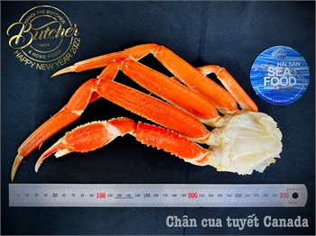 Chân Cua Tuyết Canada
